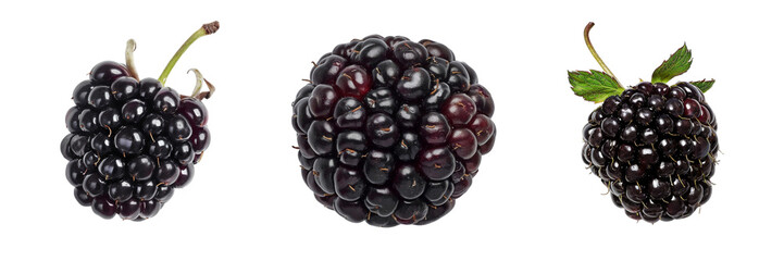 Wall Mural - Set of A Marionberry is on a ,transparent background