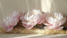   A Pink Flower Cluster Sits Atop A White Bed, Alongside A Fluffy Feline Head, Covered In Soft Fur