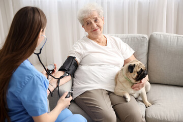 Wall Mural - Senior woman with pug dog and doctor measuring blood pressure at home