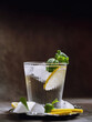 Glass of sparkling water with ice, lemon and mint on silver tray
