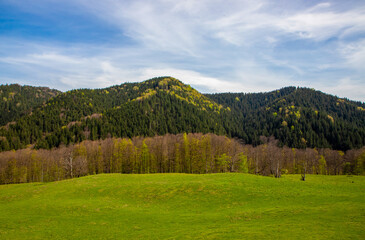 Wall Mural - Landscape with a green field and a mountain with a forest in the background in spring