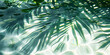 Tropical palm leaves with shadow on water surface with white sand beach. Summer vacation at the beach, recreation, tourism and sea travel concept. Beautiful abstract background with copy space.