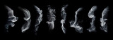 Fototapeta Mapy - Smoke set isolated on black background. White cloudiness, mist or smog background. Smoke collection for your design.