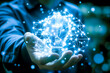 Digital Enlightenment, A Singular Bulb Illuminates the Web of Modern Invention.