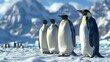 Icebound Gathering: A Colony of Penguins Huddled Together on Icy Terrain, Enduring the Cold Together with Resilience and Unity