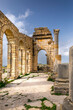 Volubilis, Morocco - March 20, 2024: Touristic attraction and Roman archaeological site situated near Meknes. Volubilis, Morocco is a UNESCO World Heritage