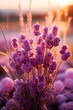 Lavender blooms bask in the warm hues of a setting sun, radiating golden light that enhances their vibrant purple tones - Generative AI