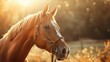 Close-up of chestnut horse with bridle in sunlight