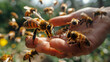 Close-Up of a Beekeeper's Hand Gently Interacting with Honey Bees. Generated by AI
