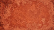 The background is a subsoil or concrete wall mixed with a rough and grainy effect. In dark red-brown tones. For backdrops, frames, banners, autumn scenes.