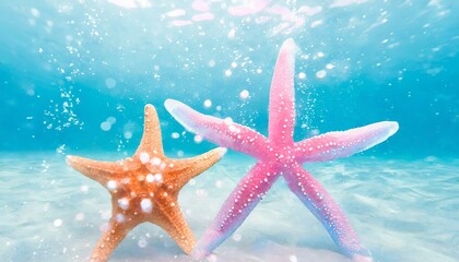 two starfish