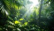 Sun filtering through trees in lush jungle landscape