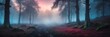 dark foggy fantasy forest landscape background from Generative AI