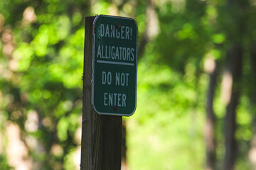 Danger Alligators sign in the forest