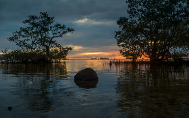 Wall Mural - Beautiful calm seaside at sunset with trees and rocks