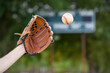 Man's arm and baseball mitt about to catch ball