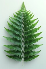 Aufkleber - Generative AI : Fern leaves are placed on a pure white background paper.