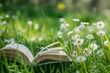 Generative AI : Open book in the grass on the field on sunny day in spring. 