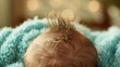 The soft patch of downy hair on a newborns head symbolizing their fresh arrival into the world. .