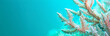 Coral conservationist web banner. Advocate for coral reef conservation on turquoise background with copy space.