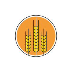 Poster - Wheat illustration design