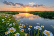 Beautiful sunset over the river with daisies growing on both sides of it, wide angle lens. Created with Ai