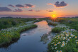  A beautiful photo of the sunset over an idyllic Dutch polder with wild flowers and daisies growing along its banks, with a small creek running through it. Created with Ai