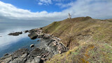 Fototapeta Miasta - General view at Cattle Point Lighthouse, San Juan Island -  Washington