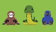 Doll Amazon Sloth Anaconda Hyacinth Macaw Animal Cute Cartoon Vector Illustration