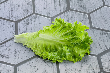 Ripe green salad lettuce leaf