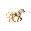 Leopard logo on a transparent background - PNG file.
