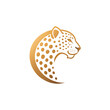 Leopard logo on a transparent background - PNG file.
