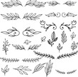 Set of hand drawn leaves, branches, flowers, flourishes. Design element for banner, sign, poster, decoration. Vector illustration