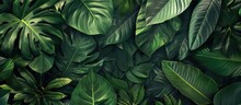 Tropical Green Leaves Arranged Creatively With Space For Text. Representing The Beauty Of Spring In Nature. Top-down View.