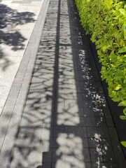 Shadows of lines on the street, Sombras de líneas en la calle
