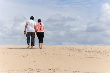 Wall Mural - A couple is walking in desert, holding hands