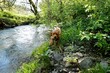 Labrador dog in the green nature at a river water