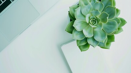 Aufkleber - Stylish office table desk Workspace with laptop diary succulent on white background Flat lay top view : Generative AI