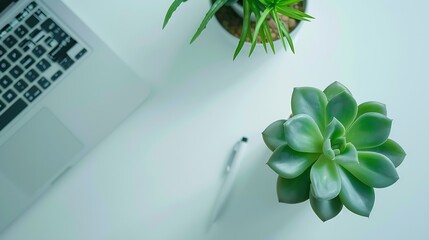 Aufkleber - Stylish office table desk Workspace with laptop diary succulent on white background Flat lay top view : Generative AI