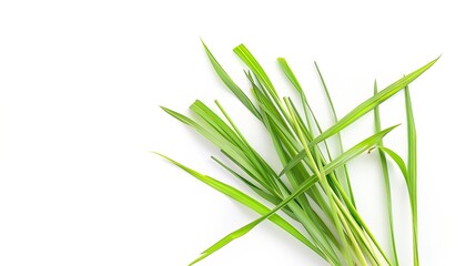 Poster - Fresh lemongrass green leaves isolated on white background  top view  flat lay : Generative AI