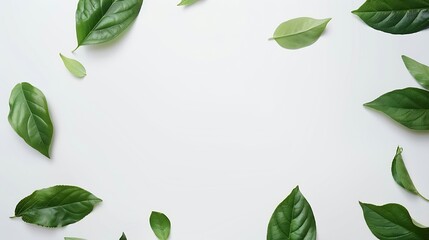 Poster - Blank white card green leaves on white background as botanical frame flatlay wedding invitation and holiday branding flat lay design concept : Generative AI