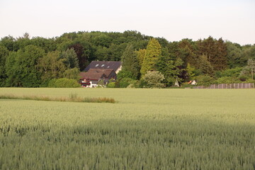 Wall Mural - Blick auf die Naturlandschaft der Stadt Menden im Sauerland	