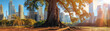 Sunlit Autumn Park with Majestic Tree Against Modern City Skyline. Banner. Generative AI