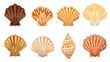 Sea shell clam. Marine undersea mollusc. Scallop moll