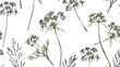 Seamless pattern with dill flowers or inflorescences