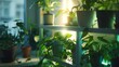 Close up of many plants on shelves by the window Creative Home decoration concept : Generative AI