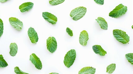 Poster - Mint leaves pattern isolated on white background  top view  flat lay : Generative AI