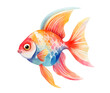 Watercolor fish isolated. Vector illustration. Goldfish art.