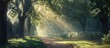 © Lasvu - Sunlight streaming into the lovely park