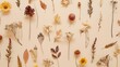 Autumn fall concept Minimal aesthetic autumn top view with dry flowers on pastel beige background nature autumnal decor floral still life minimal trend flat lay pattern of natural fore : Generative AI